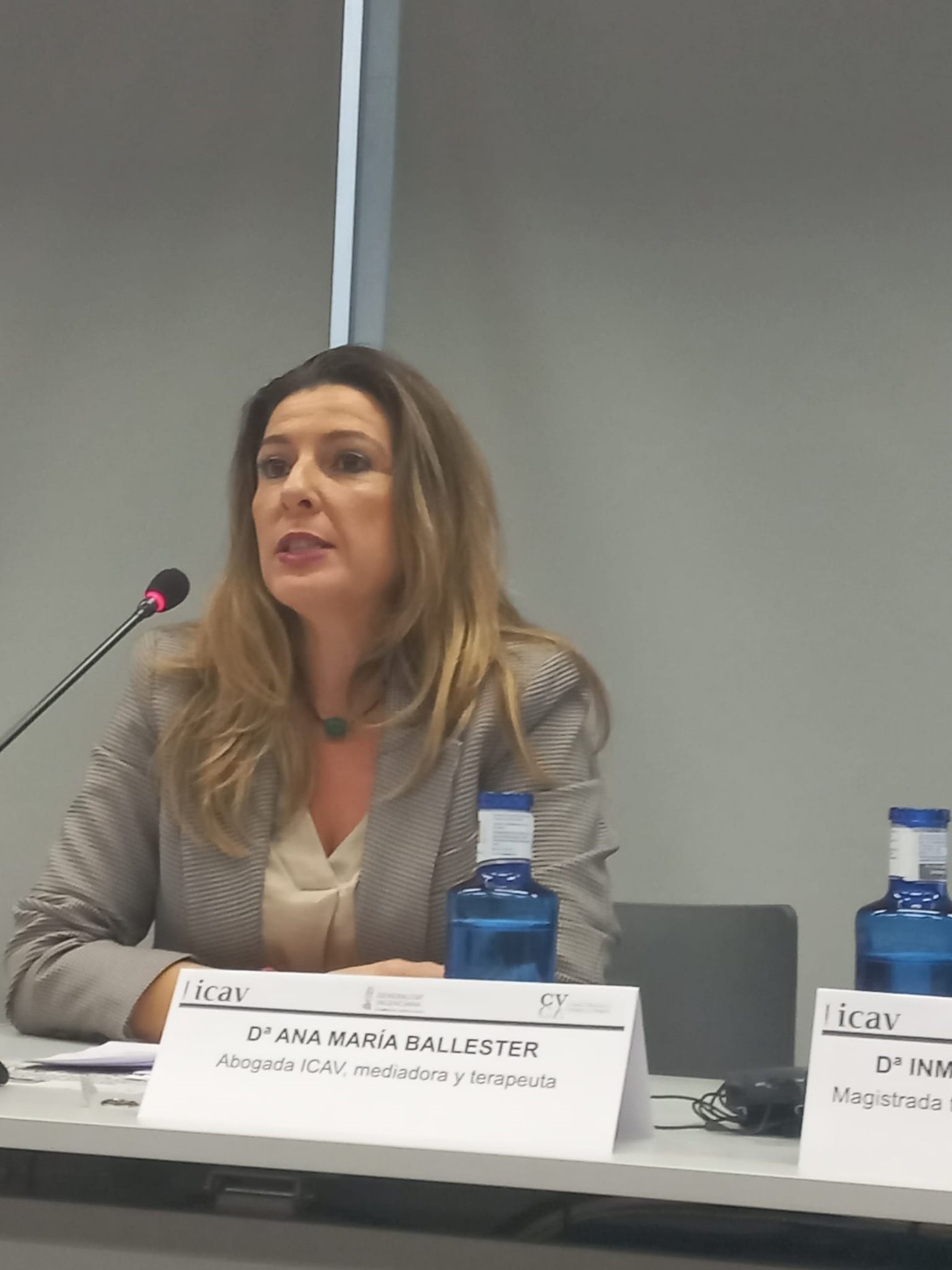 Ana Ballester García interviniendo en una jornada del ICAV